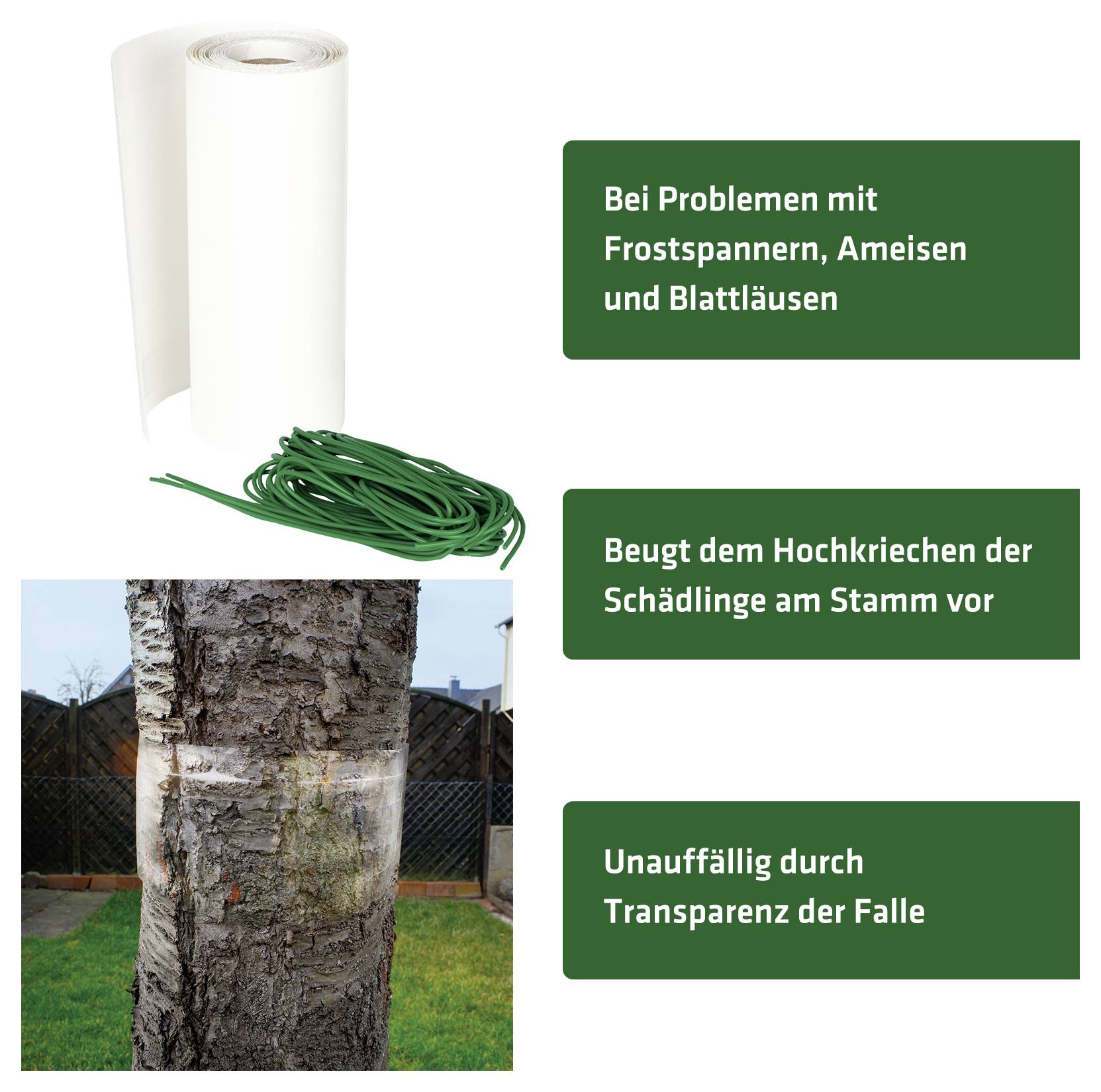Boomschorsbesch-val met rol en groen lint; beschermt tegen vorstvlinders, mieren en bladluizen en voorkomt dat ongedierte de stam opklimt.
