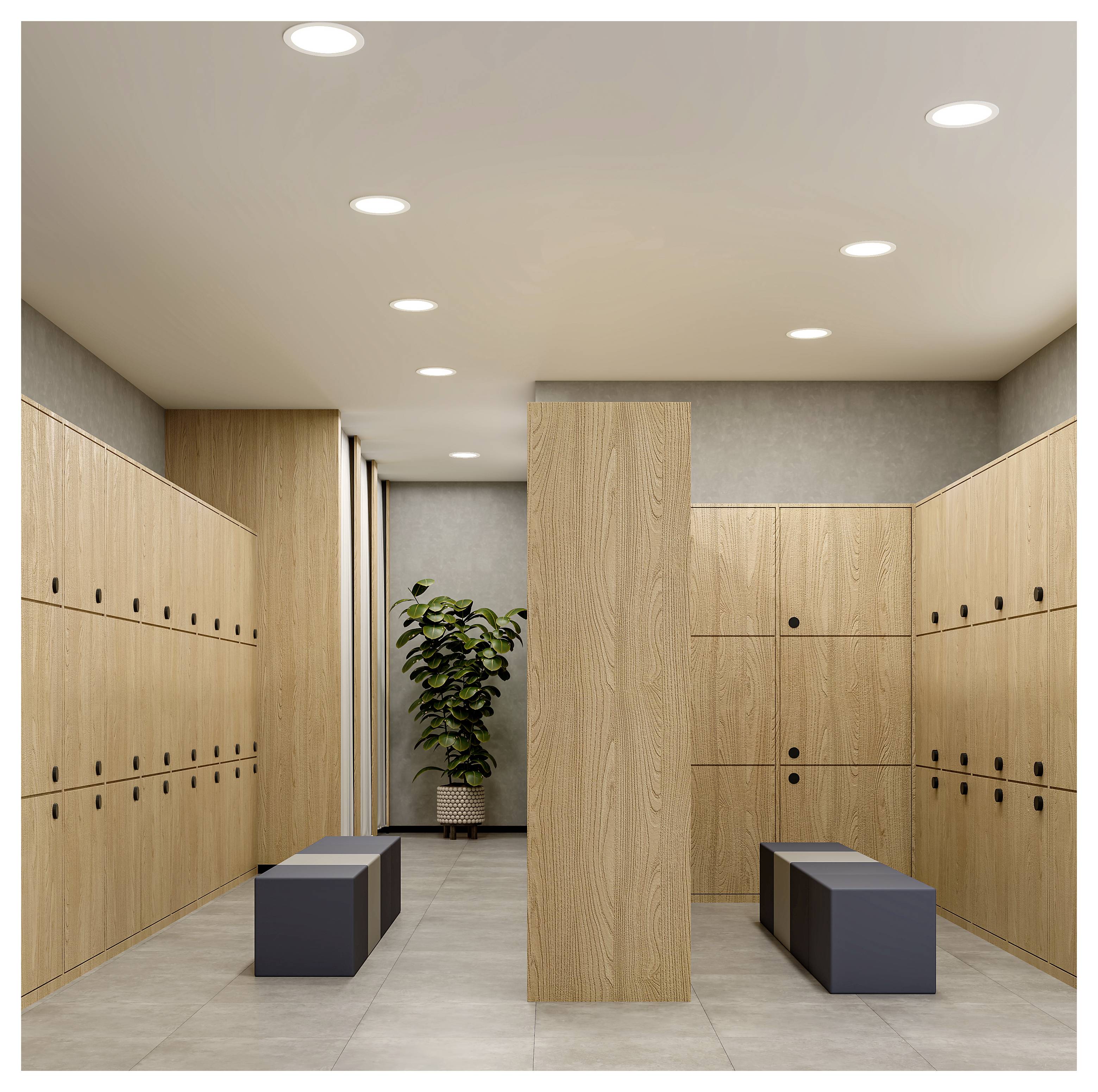 Moderne kleedkamer met houten lockers aan beide zijden, centrale scheidingswand, twee banken, tegelvloer, ingebouwde plafondverlichting, en een potplant achteraan.