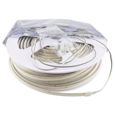 Opgerold wit Ethernet-kabel op spoel in kunststof verpakking, met een los kabeluiteinde dat uit de rol uitsteekt.