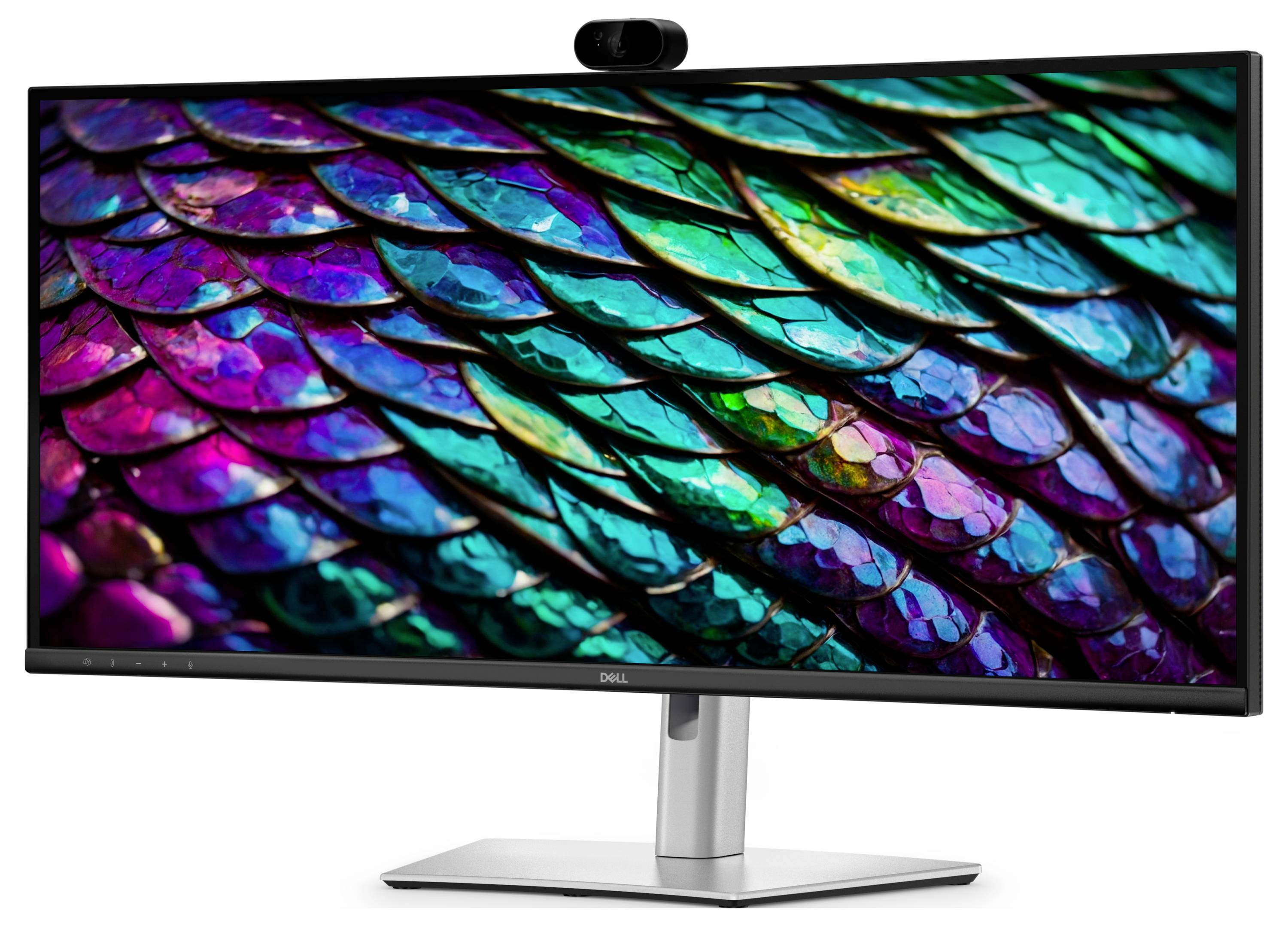 Dell computermonitor met een kleurijk abstract vissenschubbpatroon, met een webcam gemonteerd bovenop en een zilveren voet op een witte achtergrond.