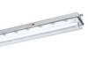 Schuch 144 12L42 AUS LED-kuiplamp voor vochtige ruimte LED 29 W Wit Grijs