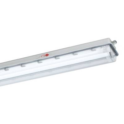 Close-up van een heldere fluorescentielamp met een doorschijnend kapje en metalen behuizing op een witte achtergrond.