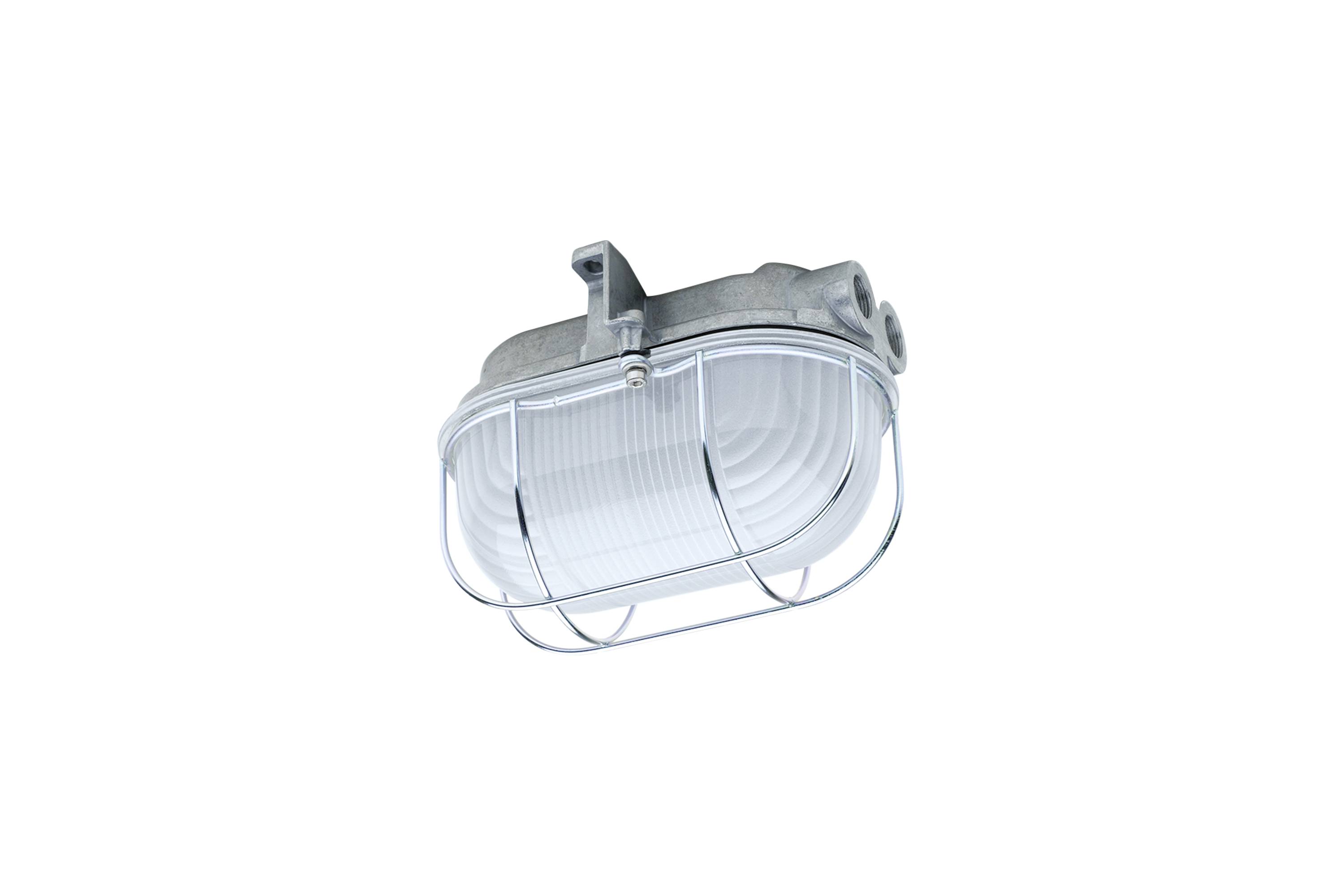 Een weerbestendige industriële wandlamp met een beschermend metalen kooi en heldere geribbelde glazen afdeking, weergegeven op een witte achtergrond.