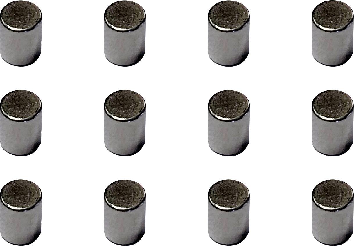 Twaalf kleine zilveren cilindrische metalen bolletjes gerangschikt in een 3-bij-4 raster op een witte achtergrond.