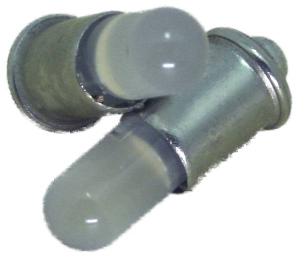 Twee groenachtig-grijze capsules of pillen die gekruist op een witte achtergrond liggen.