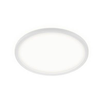 Minimale witte ovale ring of frame gecentreerd op een effen witte achtergrond.