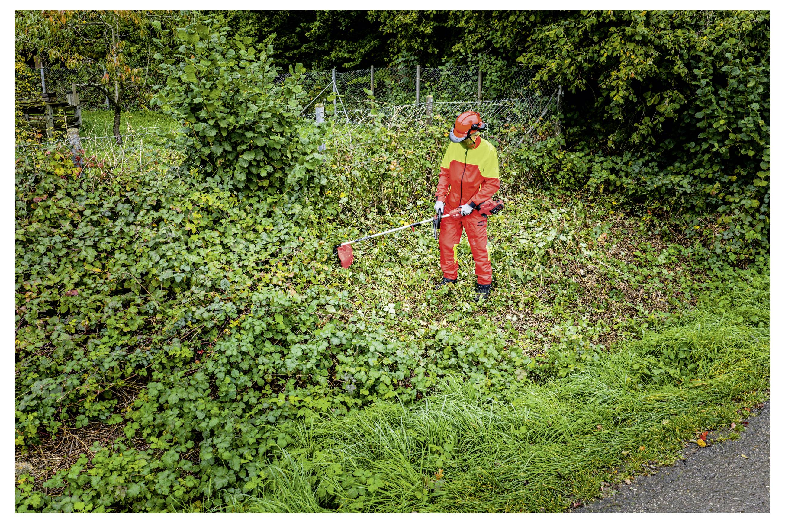 Persoon in rode beschermende uitrusting die een bosmaaier gebruikt om dichte overwoekerde begroeiing langs een wegzijde-omheining schoon te maken.