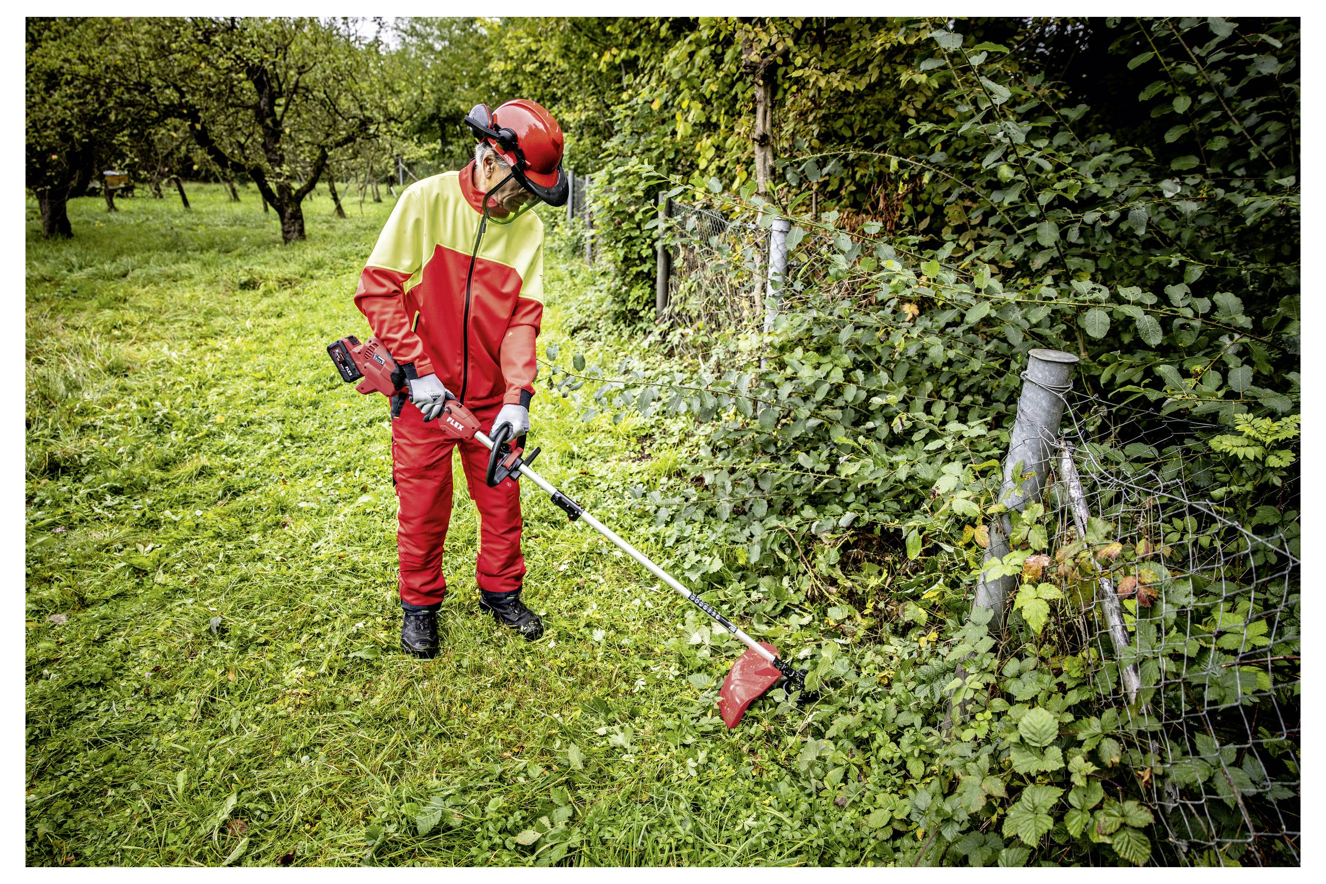 Werknemer in rode beschermende kleding die een borstelmaaier gebruikt om gras en onkruid langs een hek in een groenteachtig fruitboomgaard af te snijden.