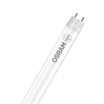 Witte OSRAM fluorescentiebuislamp met tweepins-voet, weergegeven diagonaal op een effen witte achtergrond.