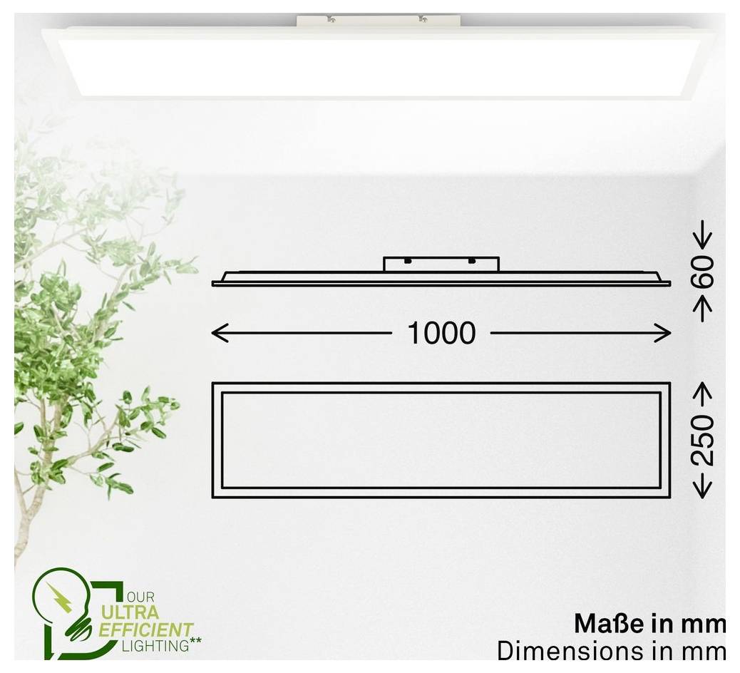 Diagram van een rechthoekig plafondlicht, gelabelde afmetingen in mm: 1000 breed, 250 hoog, en 60 diep.