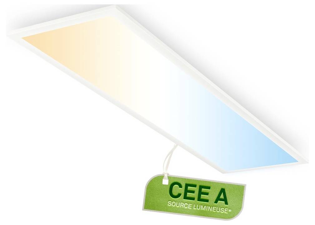 Een rechthoekig plafondarmatuur met een hangend groen etiket gelabeld 'CEEA' en 'SOURCE LUMINEUSE'.