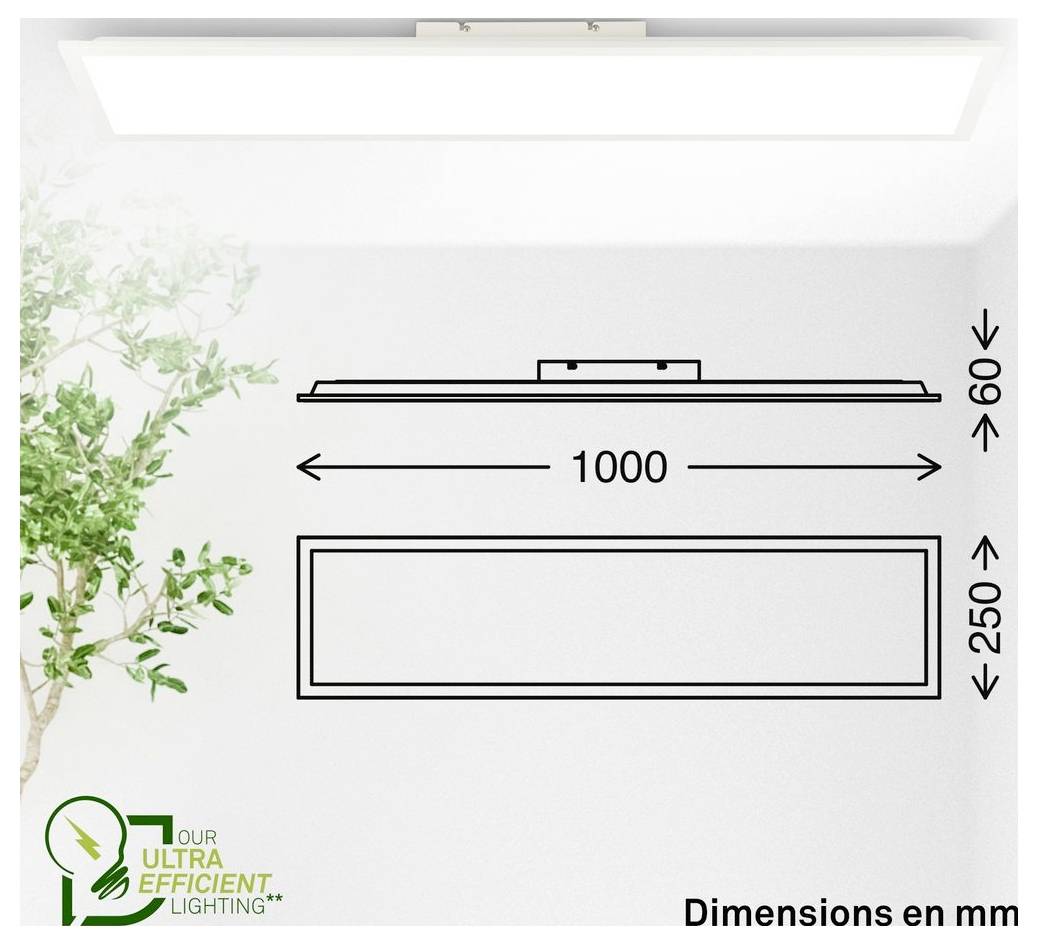 Diagram van een rechthoekige plafondlamp met afmetingen aangegeven: 1000 mm breed, 250 mm hoog en 60 mm diep, weergegeven in zij- en vooraanzichten.