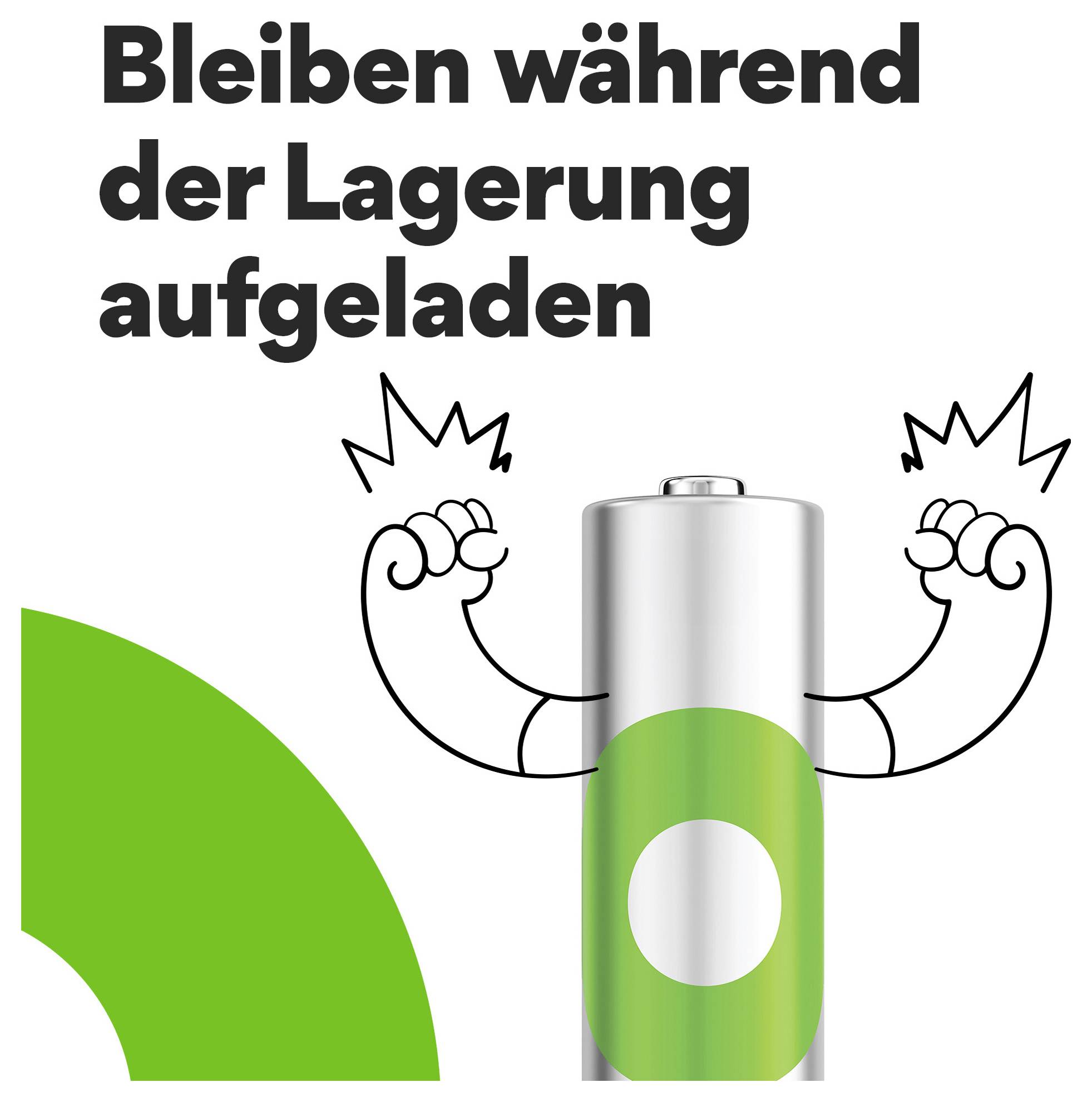 Illustratie van een batterij met gespannen armen onder de Duitse tekst 'Bleiben während der Lagerung aufgeladen' ('Blijf tijdens opslag opgeladen').