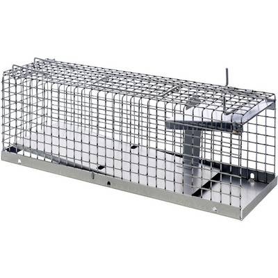 Draadlevendiervalgkooi met een smalle eenrichtingsingang en metalen basis, weergegeven op een witte achtergrond.