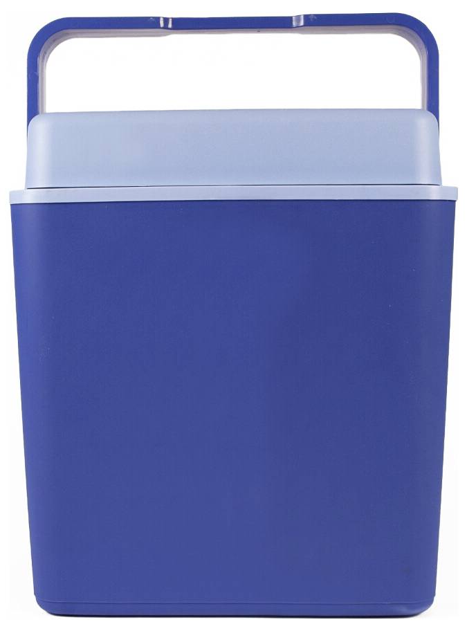Blauwe draagbare koelbox met een lichtblauwe deksel en ingebouwde handvat, getoond op een effen achtergrond.