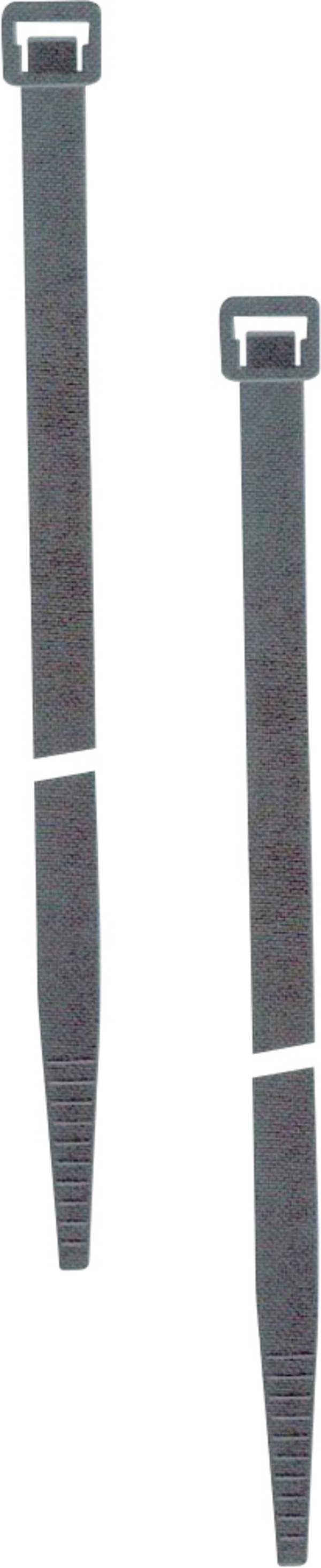 Protec 05104421  Kabelbinder 360 mm 7.8 mm Zwart  100 stuk(s)
