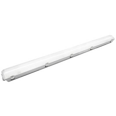 Lange witte fluorescentielamp met metalen klemmen, diagonaal weergegeven op een effen witte achtergrond.