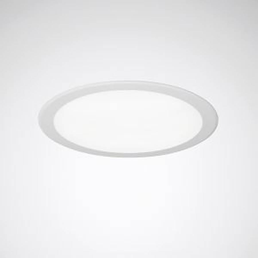 Wit plafondlicht met een eenvoudig ovaal ringontwerp op een effen witte achtergrond.