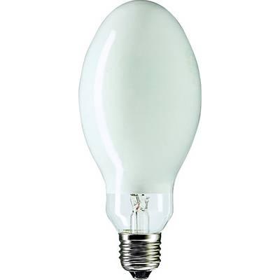 Een matglazen witte gloeilamp in vintage stijl met een metalen schroefdraad basis op een eenvoudige achtergrond.