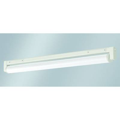 Witte fluorescentielamp gemonteerd op een lichtblauw muur, bekeken onder een hoek.