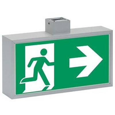 Groen nooduitgangbord met rennende figuur en pijl die naar rechts wijst