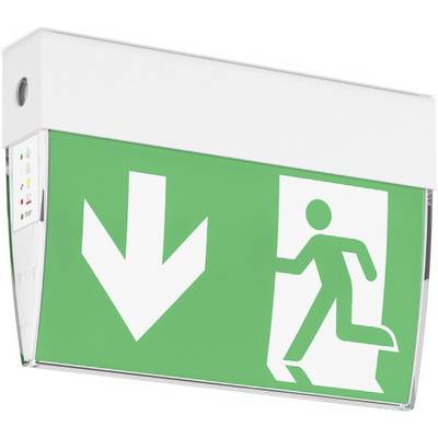 Verlichte groene nooduitgangteken met een rennend figuur en een pijl naar beneden, aangevend de richting van de vluchtroute.