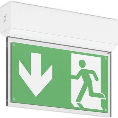 Groen verlicht nooduitgang-bord met een witte pijl naar beneden en een rennend persoon symbool dat de uitgangsroute aangeeft.