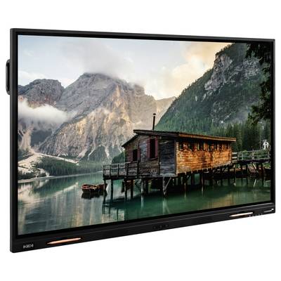 Legamaster Digital Signage display Energielabel: C (A - G) 165 cm 65 inch 3840 x 2160 Pixel 18/7-1