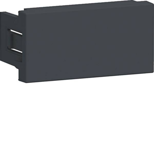Hager G45BLIND19011     Grafietzwart 1 stuk(s)