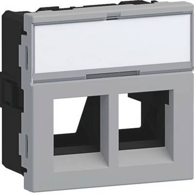 Grijze dubbelpoort wandcontactdoos met twee rechthoekige openingen en een leeg etiketgebied bovenaan, weergegeven in perspectief.
