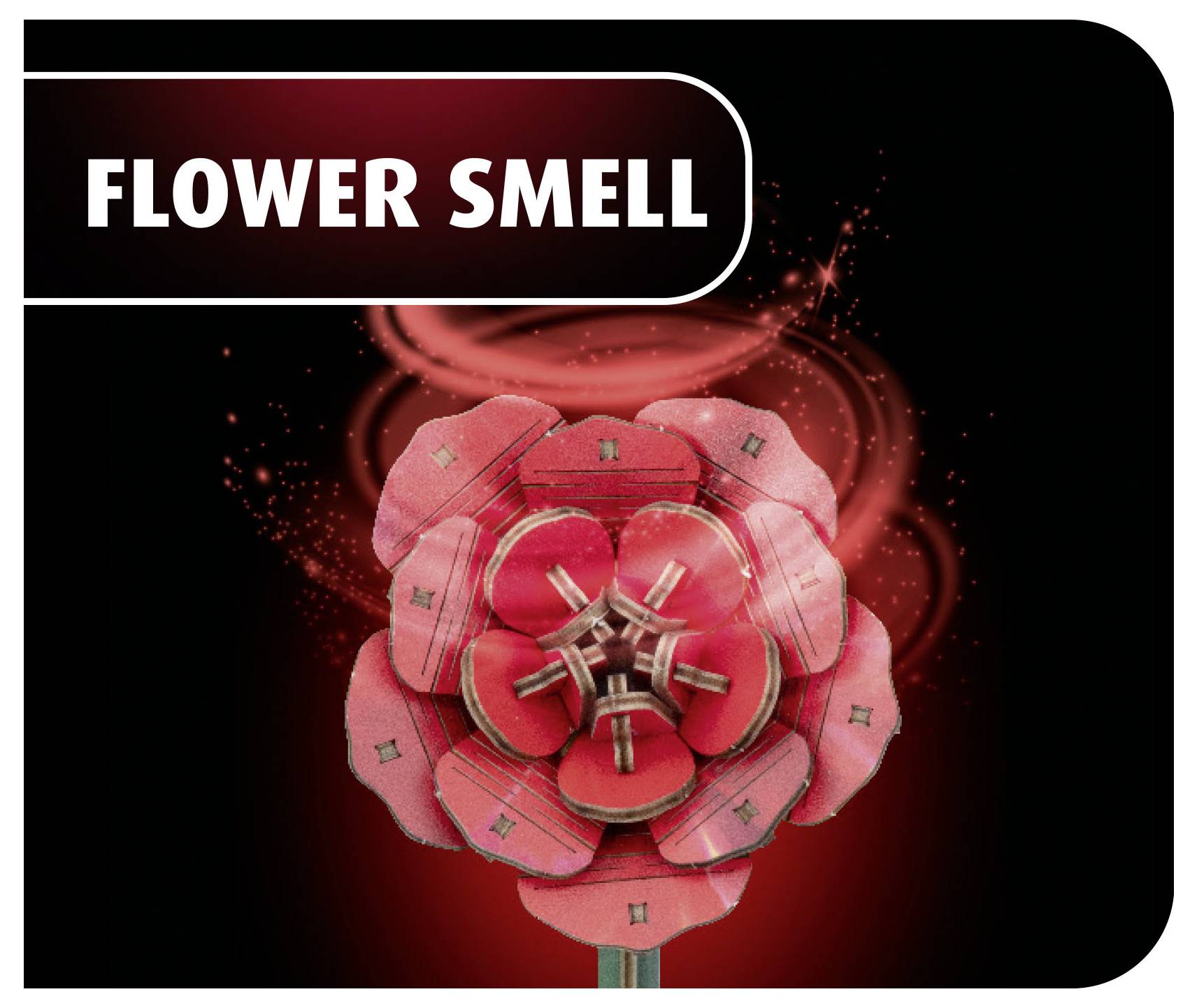 Revell 00631 "Dream of Roses" Houten bouwpakket Hout-2