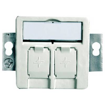 Aan de wand gemonteerde dubbele Ethernet-wandcontactdoos met twee afgedekte poorten en metalen bevestigingstabs.