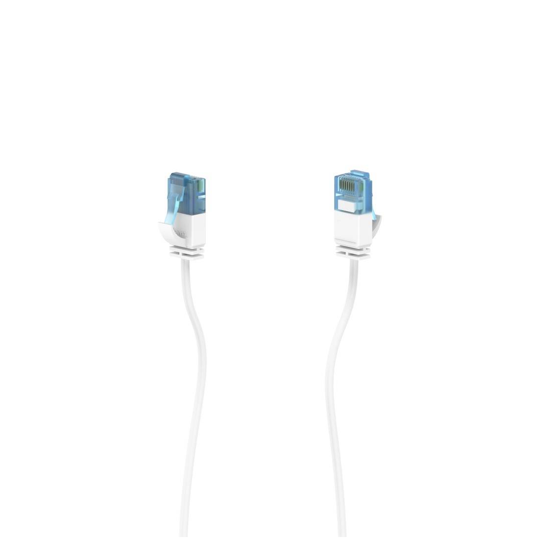 Twee witte Ethernet-kabels met blauwe RJ45-connectoren, weergegeven tegen een effen witte achtergrond.