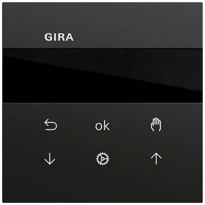 GIRA 536674 Zwart 1 stuk(s)