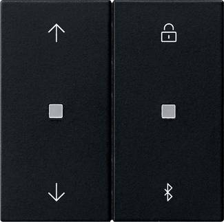 GIRA 5367005 Zwart 1 stuk(s)