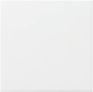 GIRA 022527 Wit 1 stuk(s)
