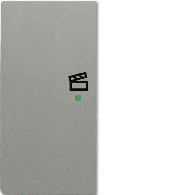 Busch-Jaeger 2CKA006220A0438 RVS 1 stuk(s)-0