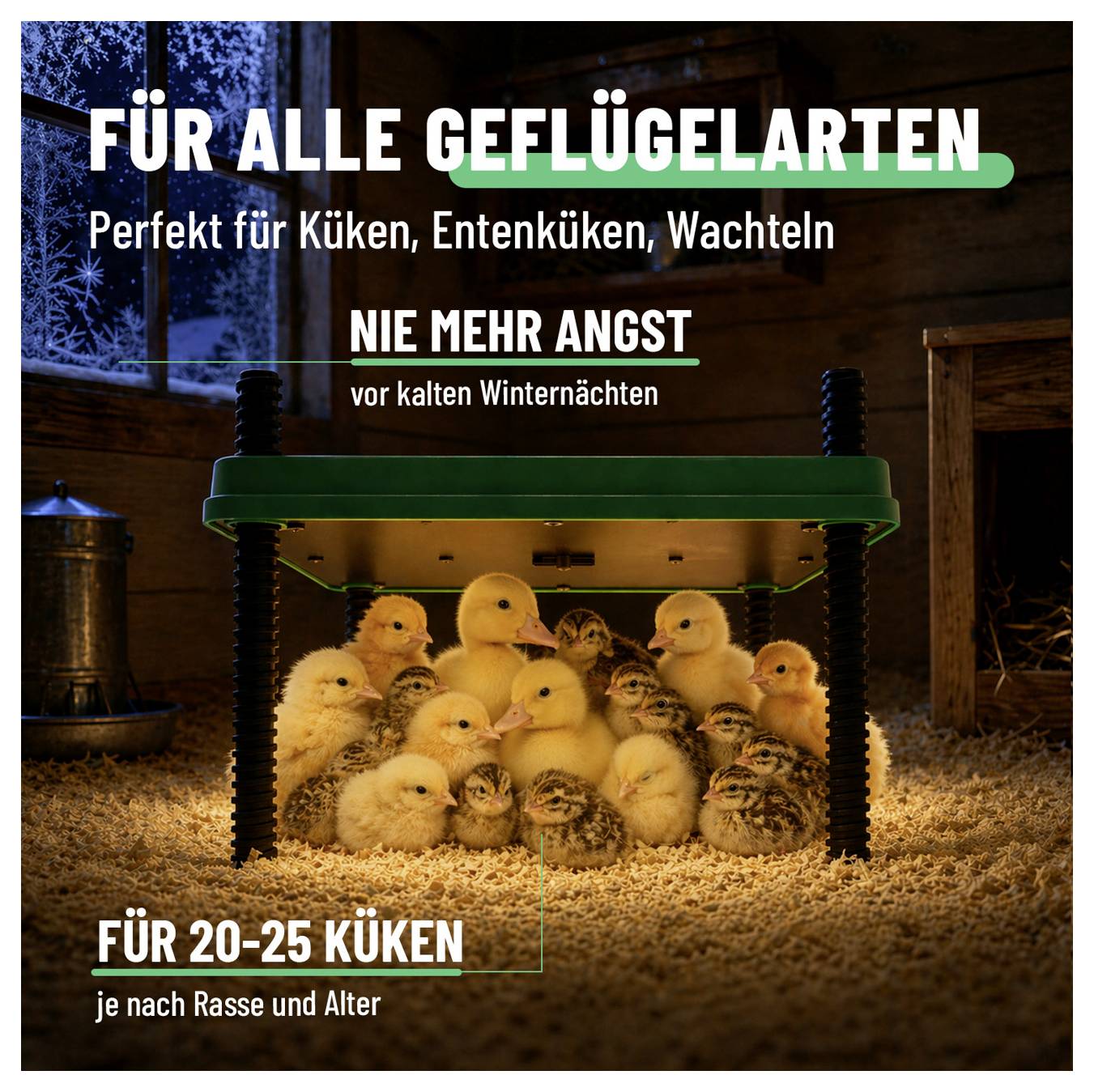 greate Verwarmingsplaat voor kuikens Zwart, Groen 1 stuk(s)-2