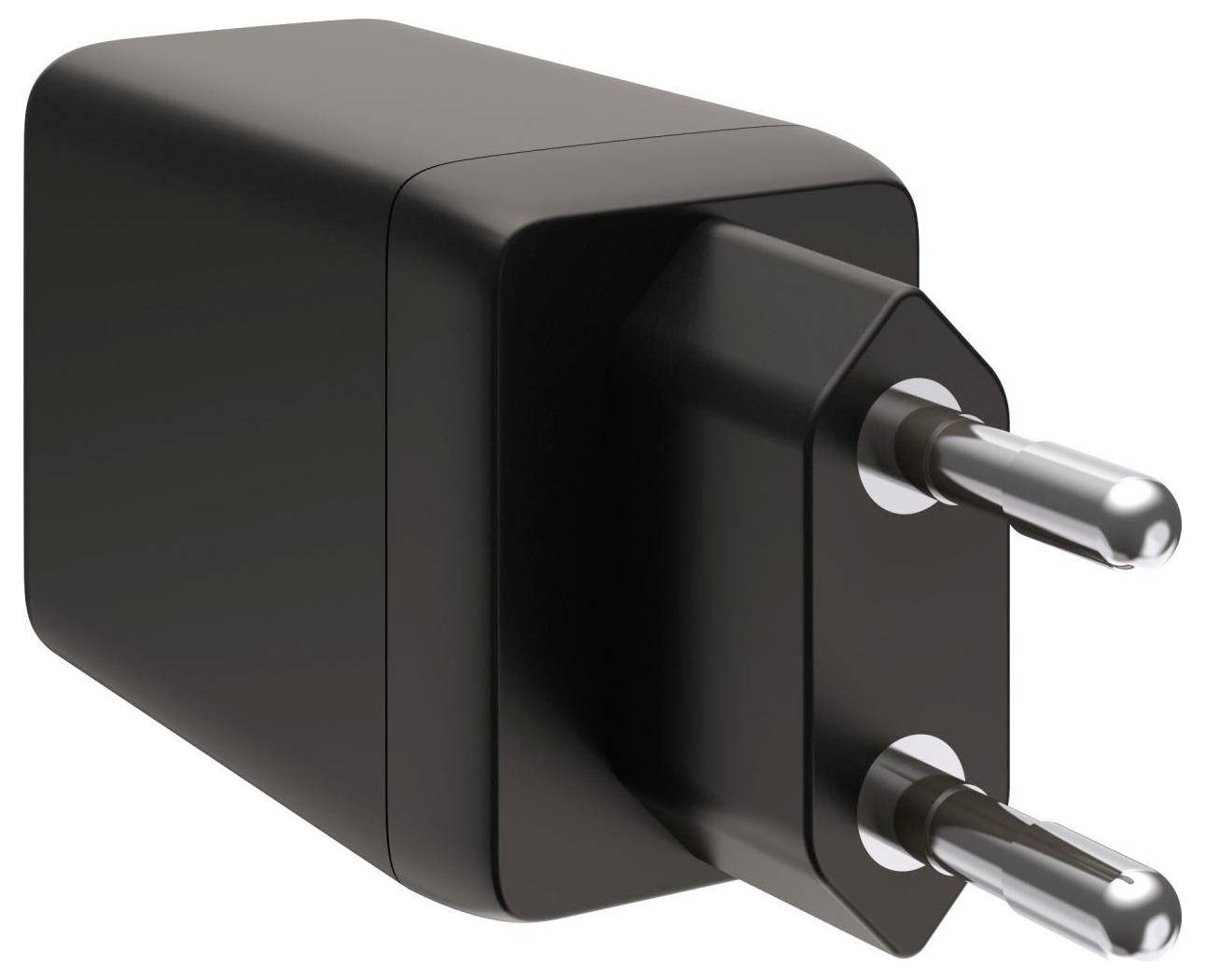 Zwarte stroomadapter met twee ronde metalen pennen, afgebeeld op een witte achtergrond.