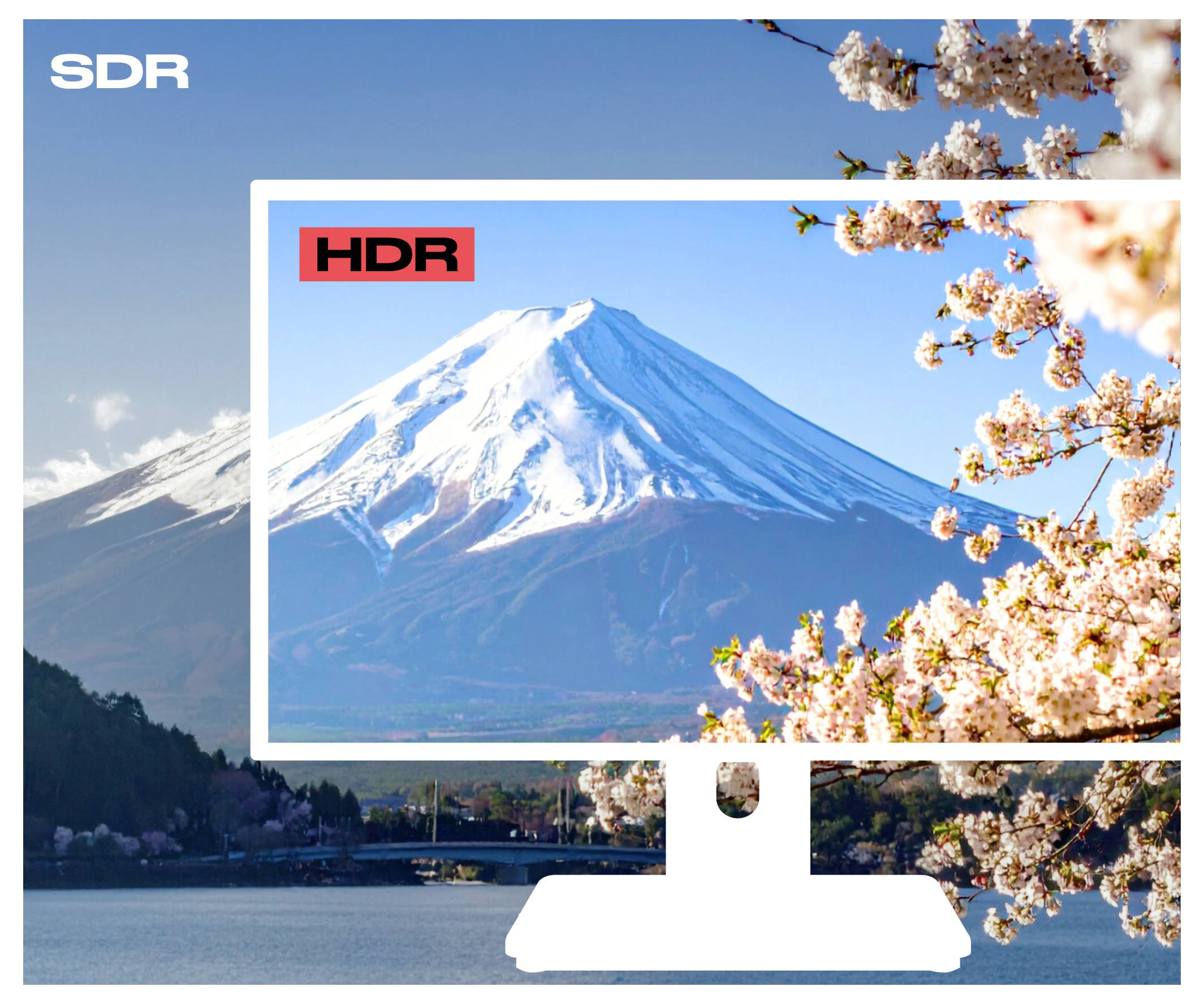 Een computermonitor toont een levendig 'HDR'-berglandschap met kersenbloesems over een dofferere 'SDR'-achtergrond, wat het contrast en de kleurverbetering van HDR illustreert.