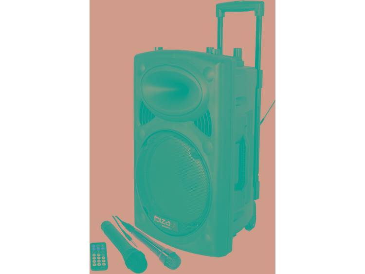 Ibiza PORT10VHF-N draagbare speaker PA 25 cm