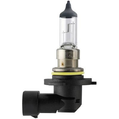 Halogeenlamp in fitting, cilindrische vorm met helder glas. Geschikt voor autokoplampen, toont gloeidraad en voet.