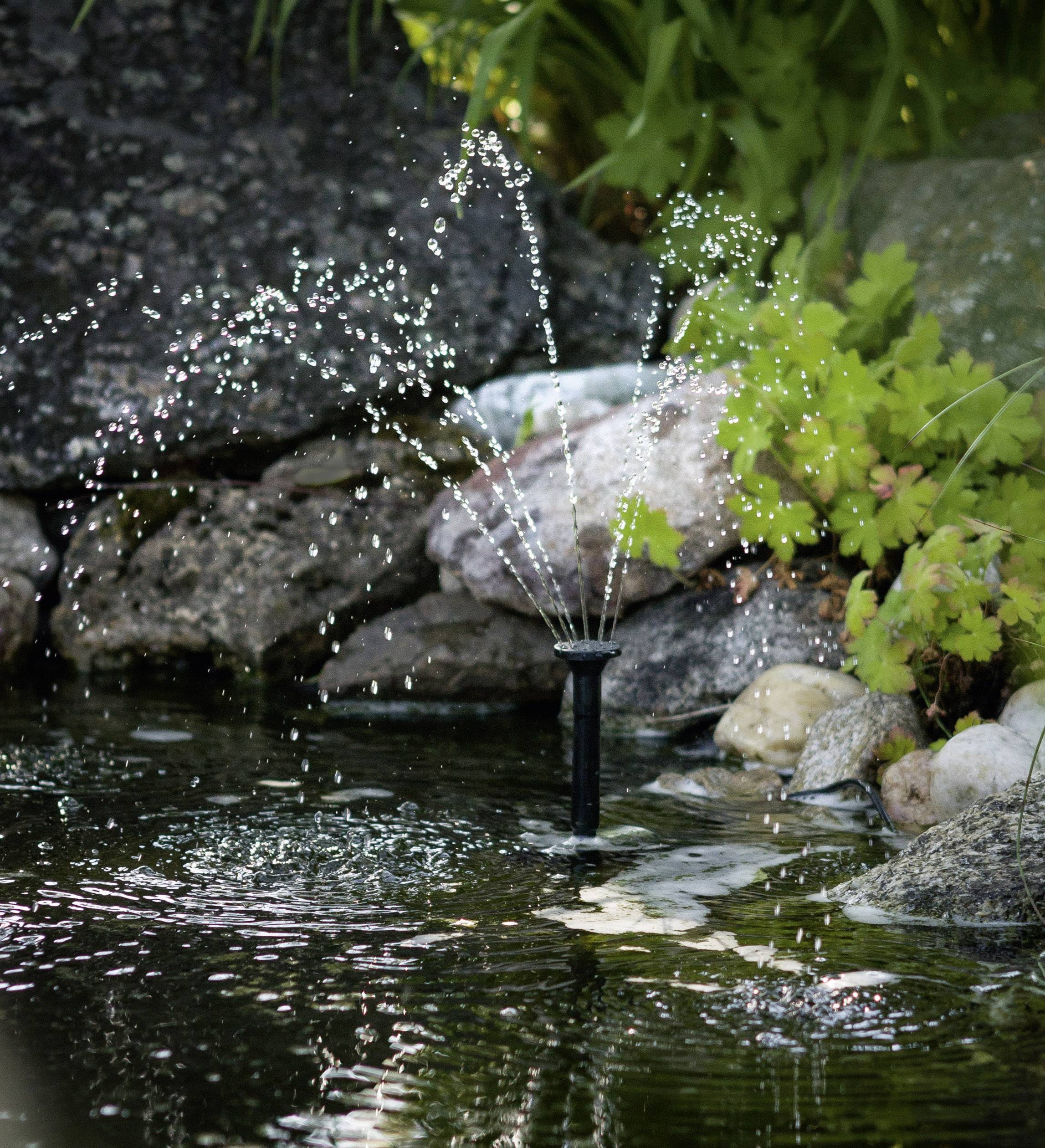 Een kleine fontein in de tuin spuit waterstralen over een vijver, omgeven door stenen en weelderig groen.