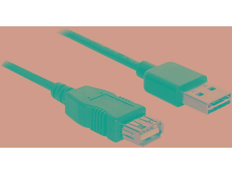 Delock USB 2.0 Aansluitkabel [1x USB 2.0 stekker A 1x USB 2.0 bus A] 1 m Zwart Stekker past op beide