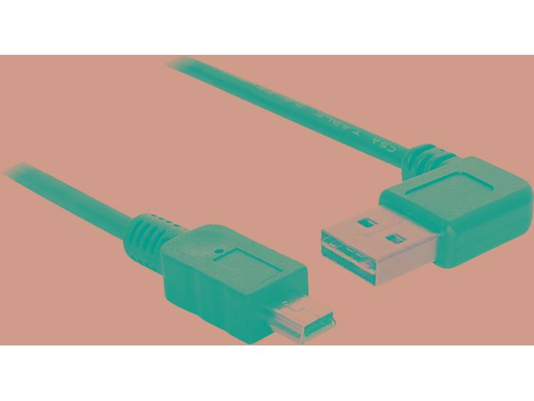Delock USB 2.0 Aansluitkabel [1x USB 2.0 stekker A 1x USB 2.0 stekker mini-B] 1 m Zwart Vergulde ste