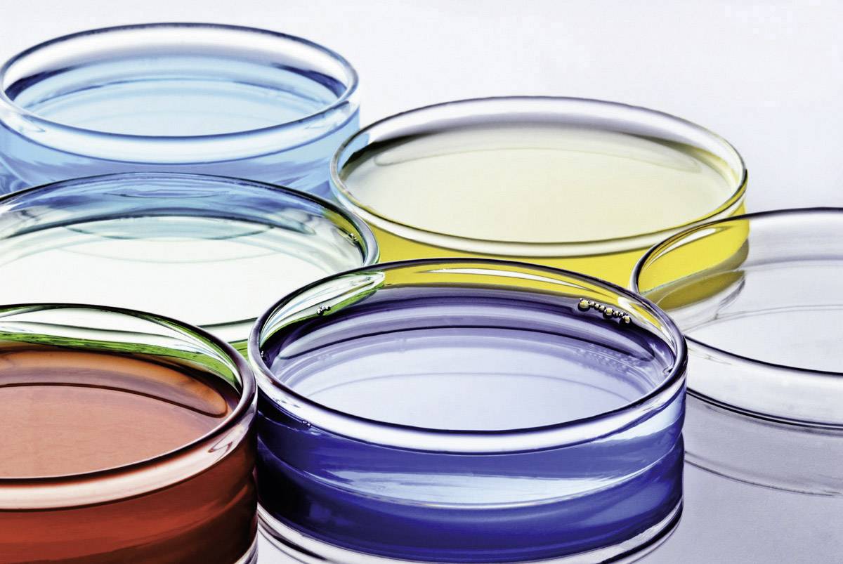 Zes petrischalen met gekleurde vloeistoffen in blauw, groen, geel en rood, gerangschikt op een tafel.