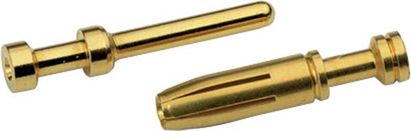Twee goudkleurige, metallische stekkers, een lang en smal, de andere met een smalle punt, liggen naast elkaar op een lichte achtergrond.