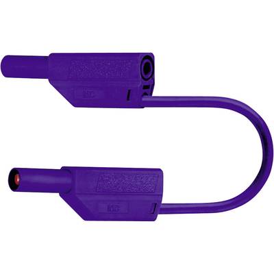 Stäubli SLK425-E Veiligheidsmeetsnoer [Banaanstekker 4 mm - Banaanstekker 4 mm] 1.00 m Violet 1 stuk(s)