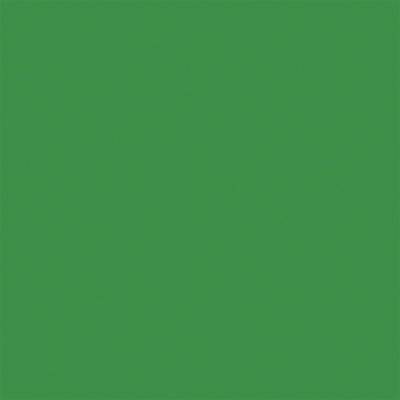 Tetenal Achtergrondkarton (l x b) 11 m x 135 cm Groen