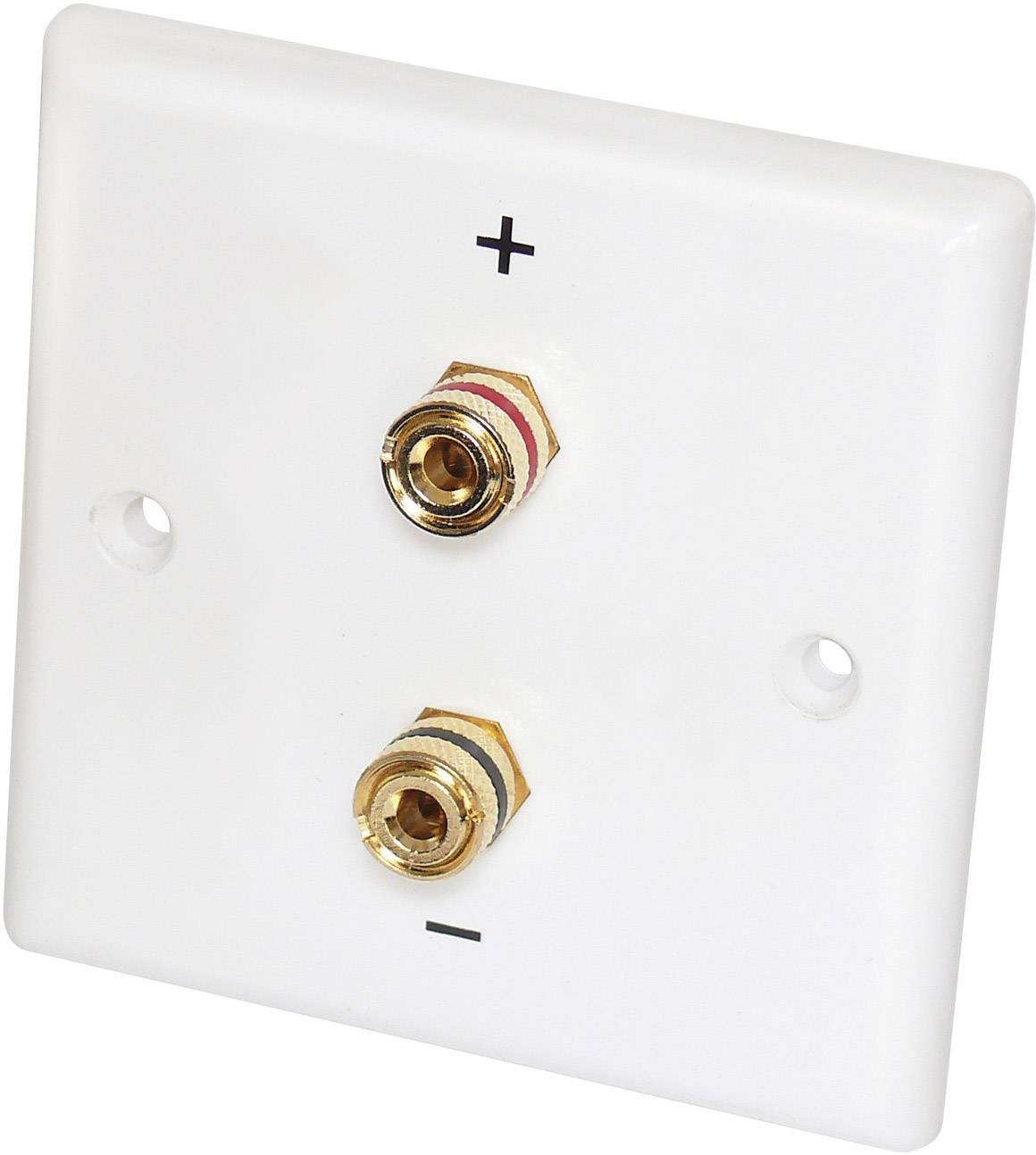 Witte rechthoekige aansluitplaat met twee vergulde aansluitbussen, gemarkeerd met '+' en '-'. Wandmontage mogelijk.